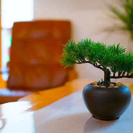 ホームステイ Forster House - Blisko Centrum *